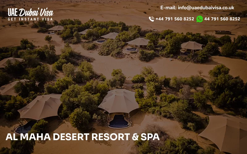 Al Maha Desert Resort & Spa in Dubai